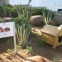 фото из отзыва ID 896109