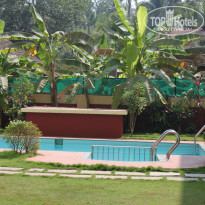 фото из отзыва ID 896187