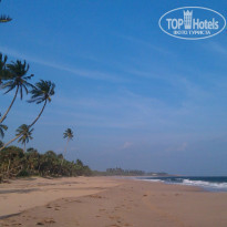 фото из отзыва ID 896216