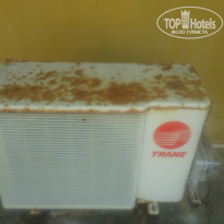 фото из отзыва ID 896248