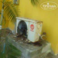 фото из отзыва ID 896248