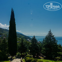 фото из отзыва ID 896278