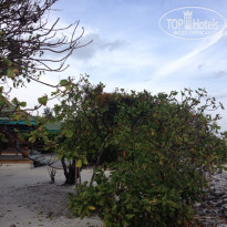 фото из отзыва ID 896198