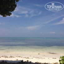 фото из отзыва ID 896198