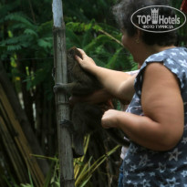 фото из отзыва ID 896316