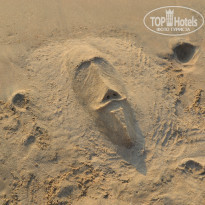 фото из отзыва ID 896263