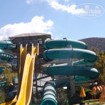 фото из отзыва ID 896396