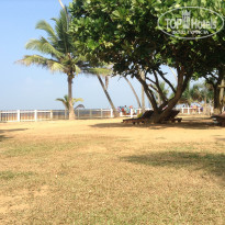 фото из отзыва ID 896436