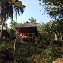 фото из отзыва ID 896460