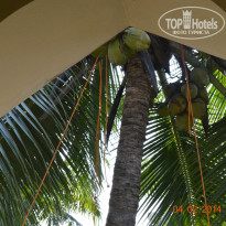 фото из отзыва ID 896503