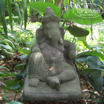 фото из отзыва ID 896659