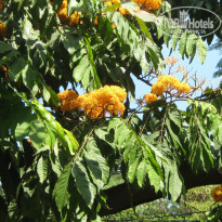 фото из отзыва ID 896659