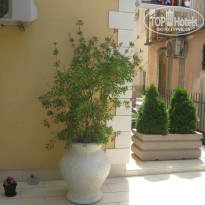 фото из отзыва ID 896677