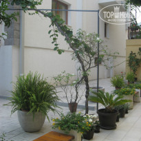 фото из отзыва ID 896677