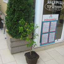 фото из отзыва ID 896677