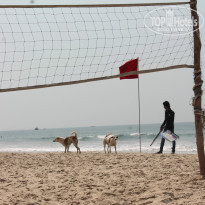 фото из отзыва ID 896758