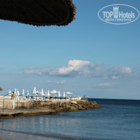 фото из отзыва ID 896955