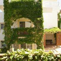 фото из отзыва ID 896981