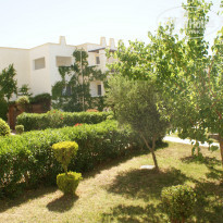 фото из отзыва ID 896981