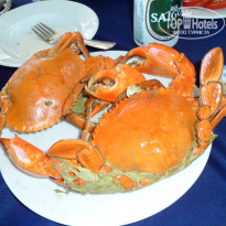 фото из отзыва ID 896555