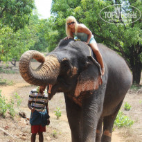 фото из отзыва ID 896824