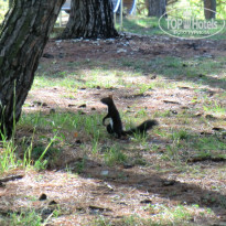 фото из отзыва ID 897123