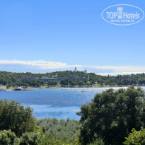 фото из отзыва ID 897123