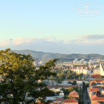 фото из отзыва ID 897123