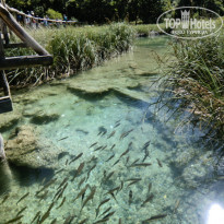 фото из отзыва ID 897123