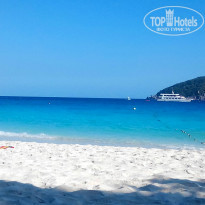 фото из отзыва ID 897242