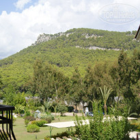 фото из отзыва ID 897312