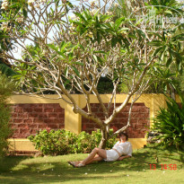 фото из отзыва ID 897322