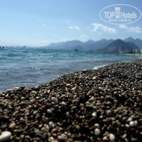 фото из отзыва ID 897384