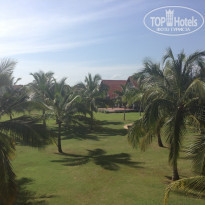 фото из отзыва ID 897388