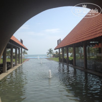 фото из отзыва ID 897388