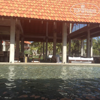 фото из отзыва ID 897388