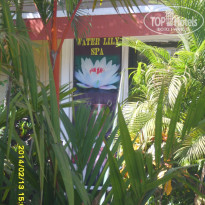 фото из отзыва ID 897576