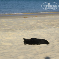 фото из отзыва ID 897722