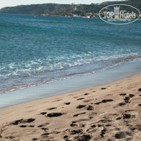 фото из отзыва ID 897446