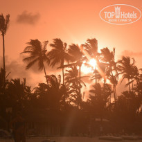 фото из отзыва ID 897966