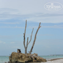 фото из отзыва ID 897966