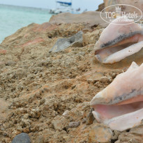 фото из отзыва ID 897966