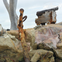 фото из отзыва ID 897966