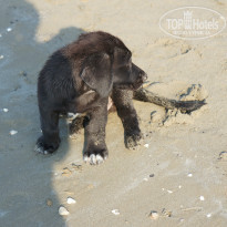 фото из отзыва ID 897975