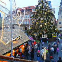 фото из отзыва ID 897982