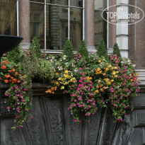 фото из отзыва ID 897711