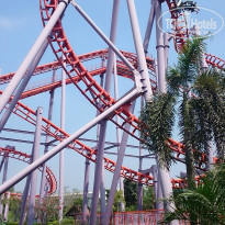 фото из отзыва ID 897639