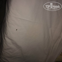 фото из отзыва ID 898065