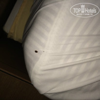 фото из отзыва ID 898065