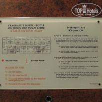 фото из отзыва ID 898152